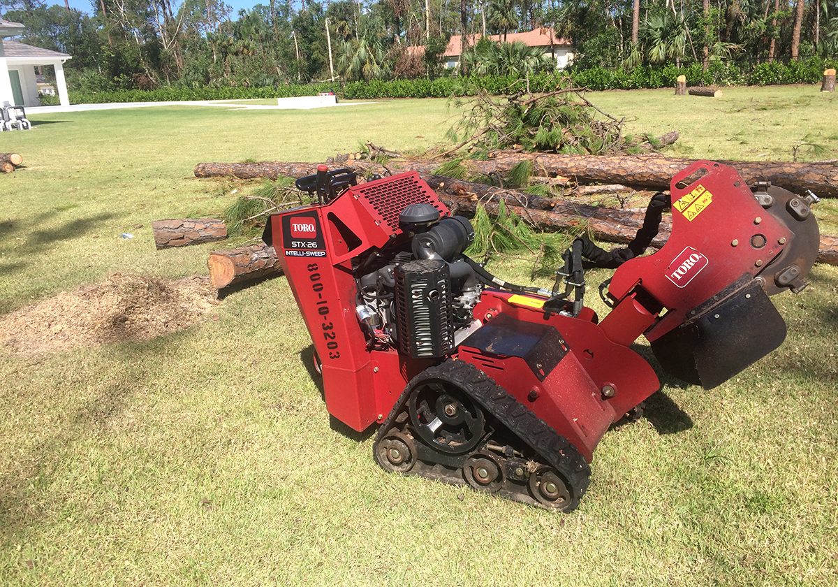 stump-grinding